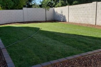 Landscaping Phoenix Az